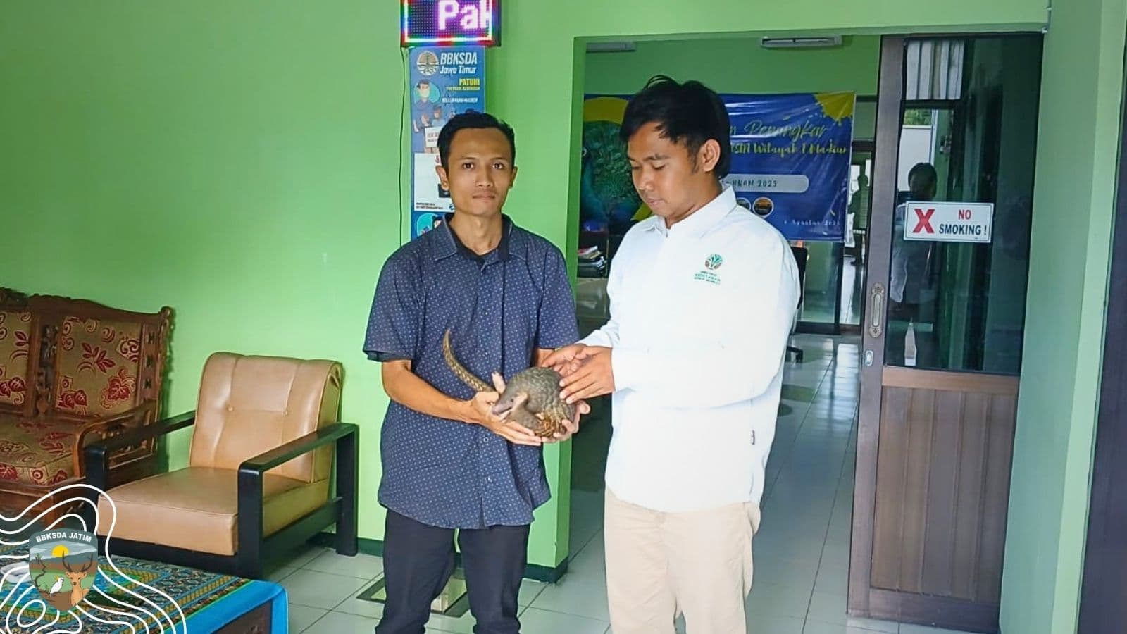 Di Ruas Jalan Ki Ageng Selo, Trenggiling Itu Diselamatkan