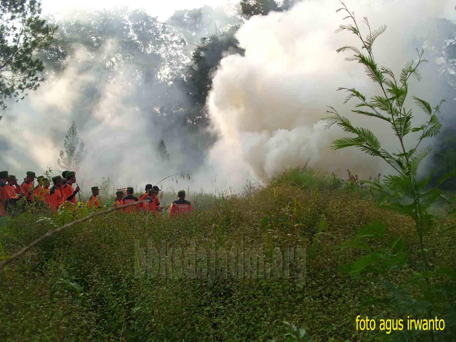 Pelatihan Pemadaman Kebakaran Hutan Provinsi Jawa Timur - Thumbnail 1