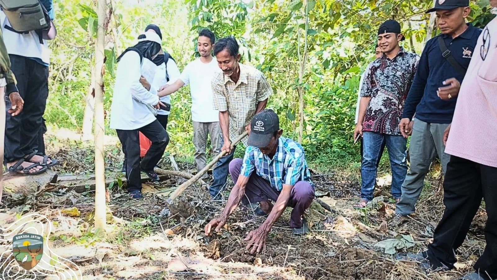 Porang, Agroforestri, dan Masa Depan Habitat Satwa Liar