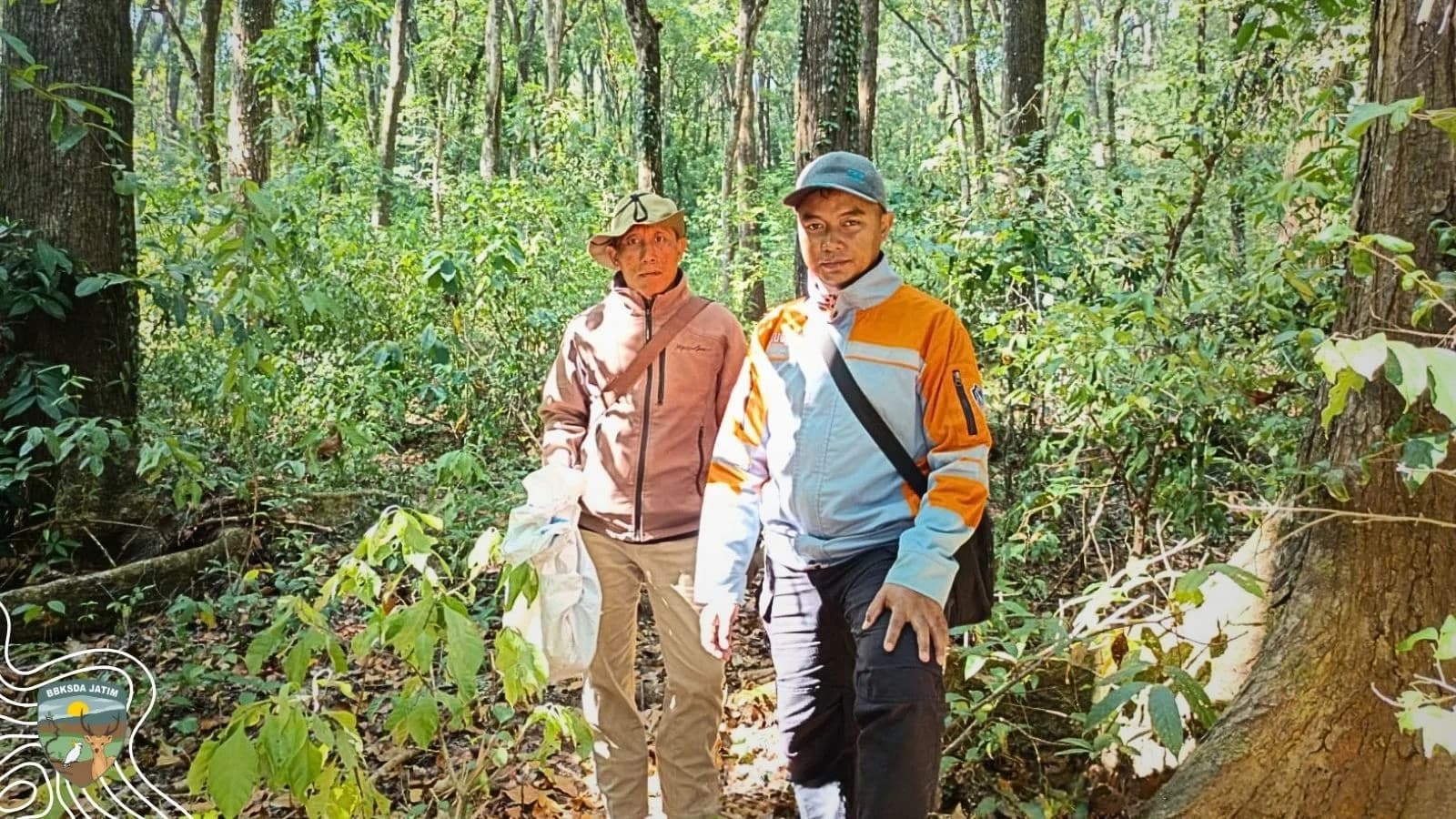 Sanca, Hutan, dan Sebuah Pilihan