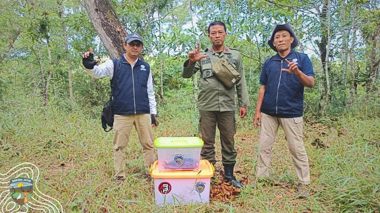 Empat Ular dari Permukiman Pacitan Dilepas ke Hutan Lindung