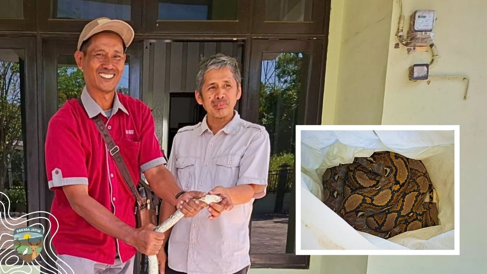 Pelajaran Penting Tentang Hidup Berdampingan Dengan Satwa Liar Di Gresik
