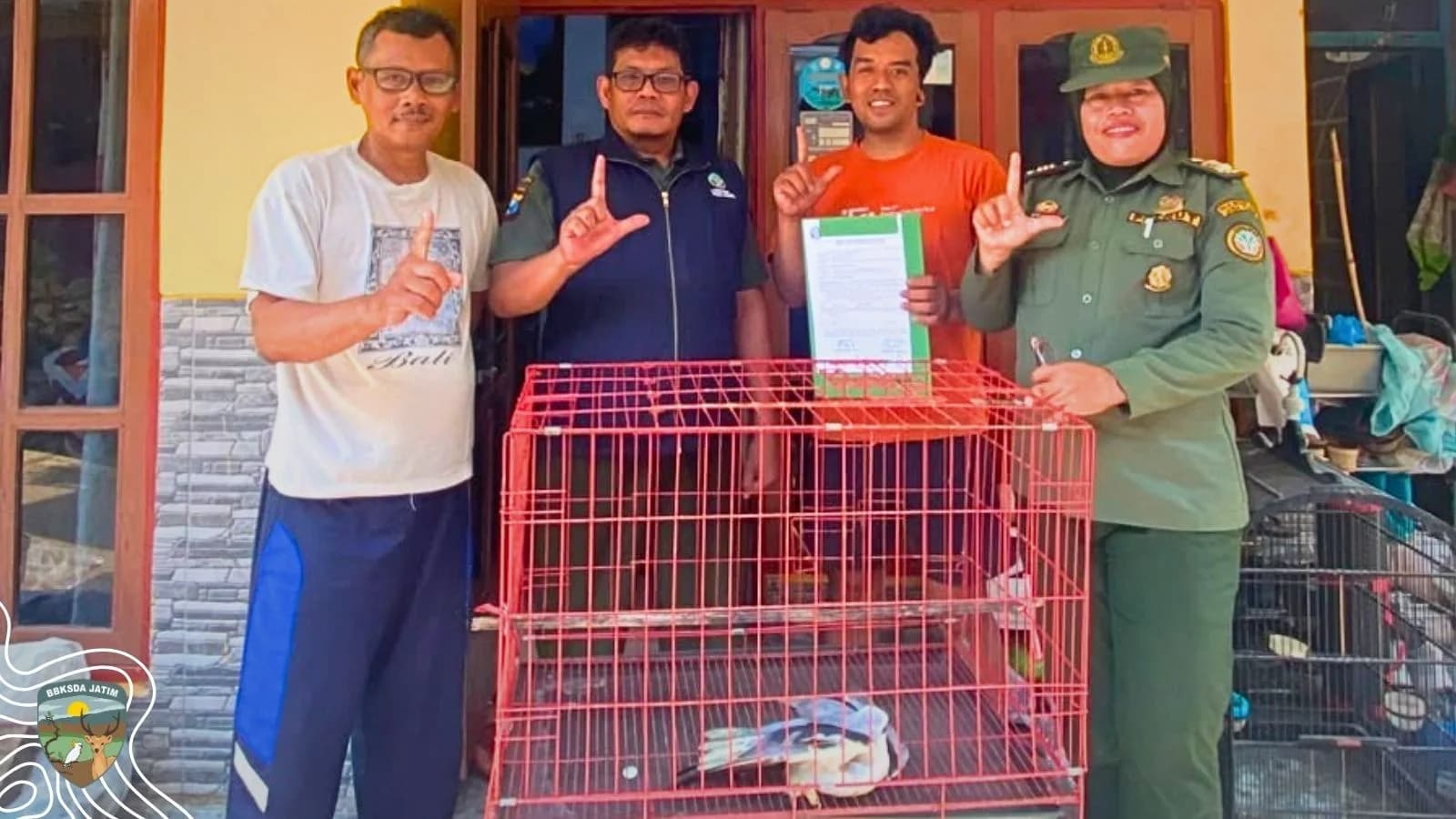 Ketika Elang Tak Lagi Menguasai Langit