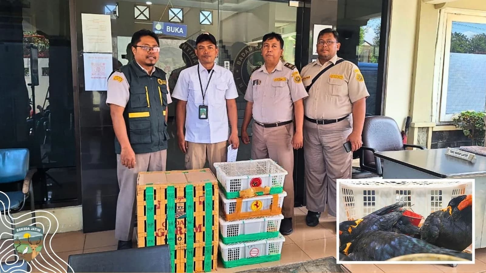 Perdagangan Satwa Liar Kembali Terbongkar, Burung-Burung Dilindungi Diselamatkan di Tanjung Perak