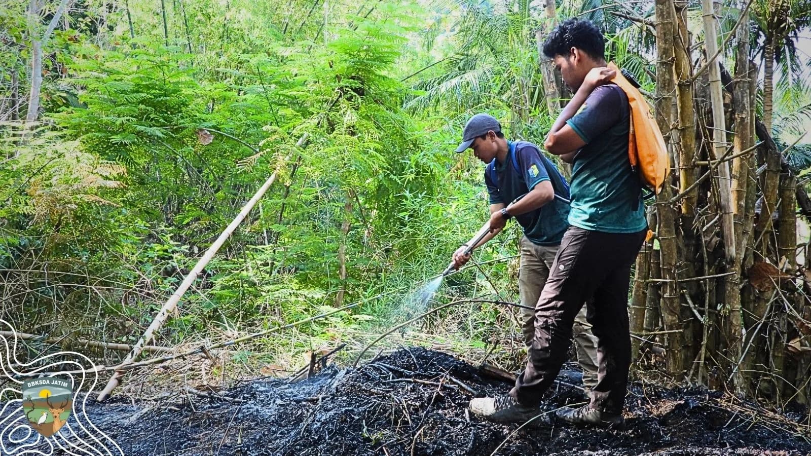Saat Asap Muncul di Tengah Patroli, Tim Berpacu Selamatkan Suaka Margasatwa Pulau Bawean
