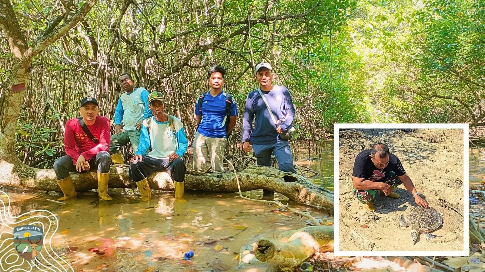 53 Grid, 40 Hektar, dan Sebuah Pertaruhan Menjaga Cagar Alam Pulau Saobi