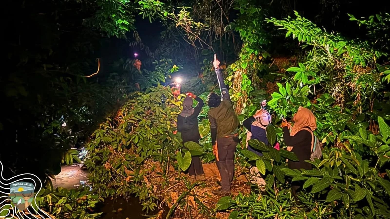 Karsa Lestari Bawean Menyusuri Jejak Satwa, Menjaga Warisan Nusantara