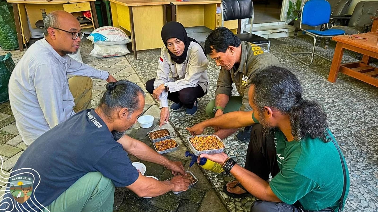 Menyemai Ficus, Upaya Konservasi Sang Raksasa Hijau