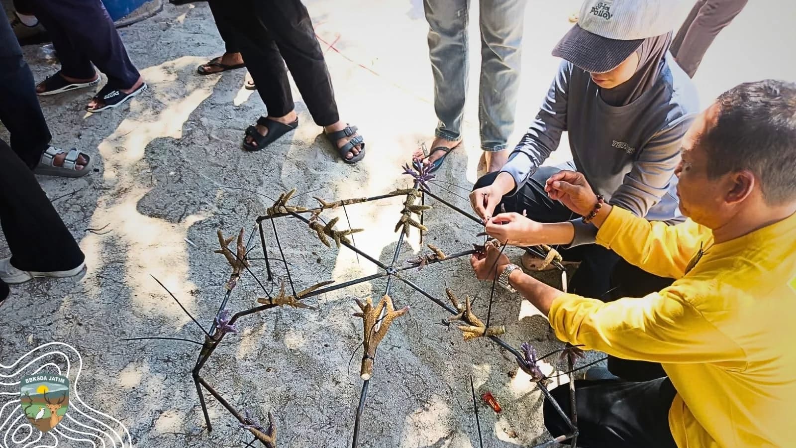 20 Rak Untuk Menjaga Masa Depan Ekosistem Laut Pulau Bawean