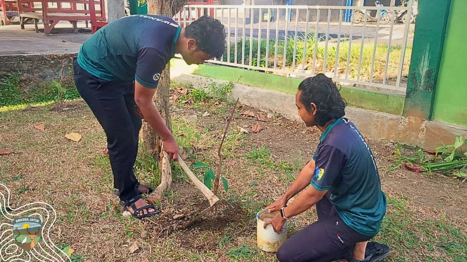 Bukan Sekadar Kenangan, Mereka Menanam Harapan Untuk Bawean