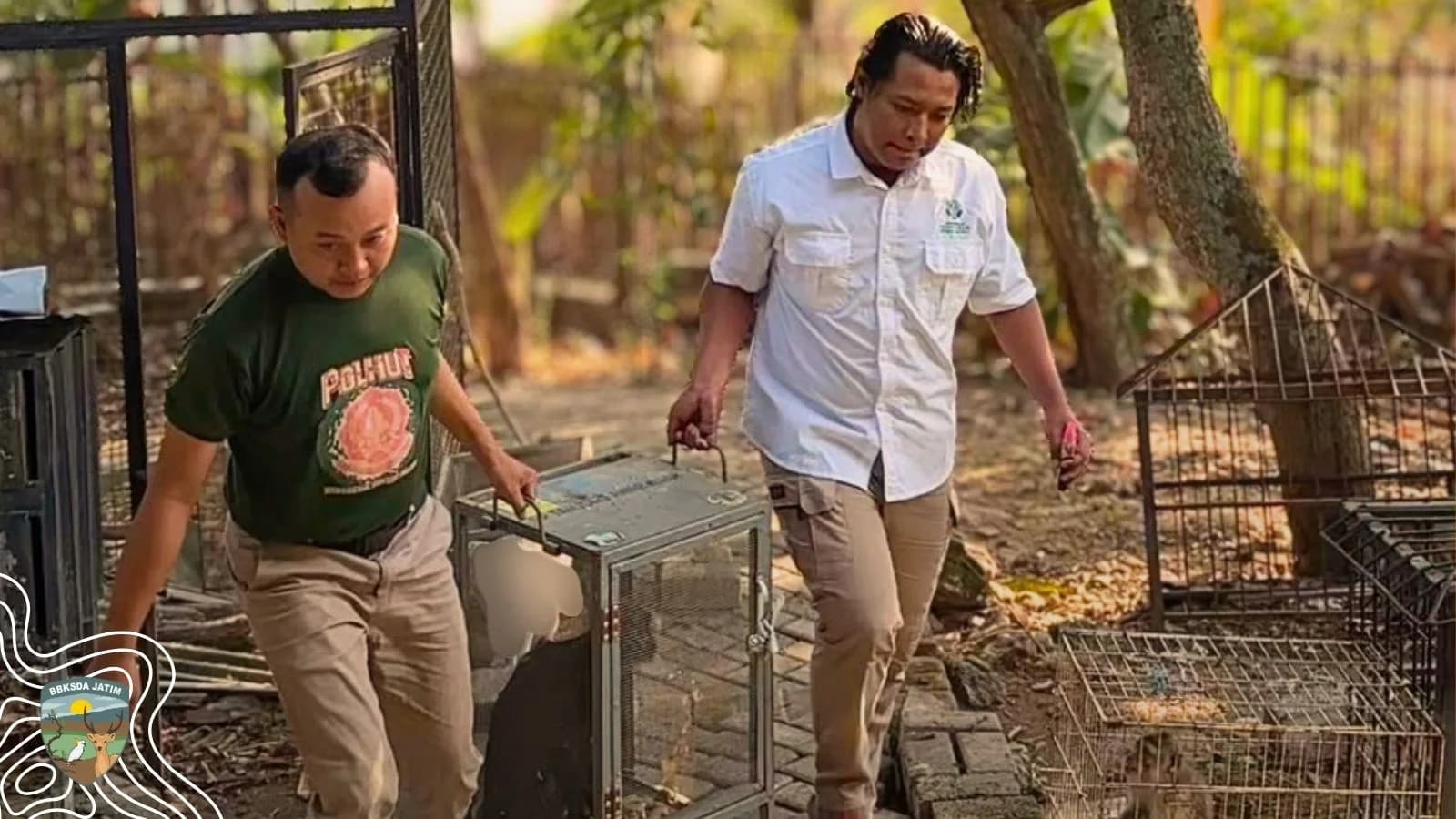 Babak Kedua Penyelamatan Satwa Liar Dimulai