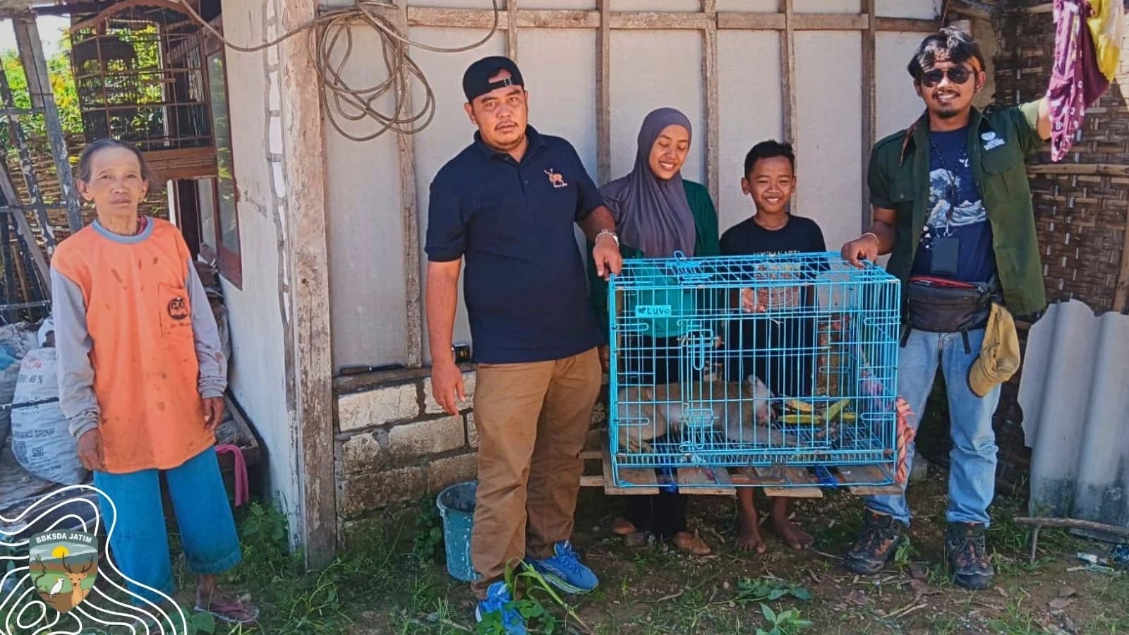 Akhir Perjalanan Peliharaan, Awal Kesempatan Seekor Monyet Ekor Panjang untuk Pulih di Gresik