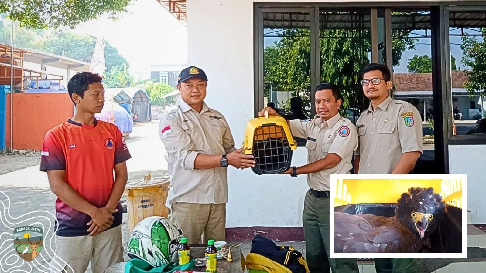 48 Jam Yang Menentukan Nasib Seekor Elang Ular Bido