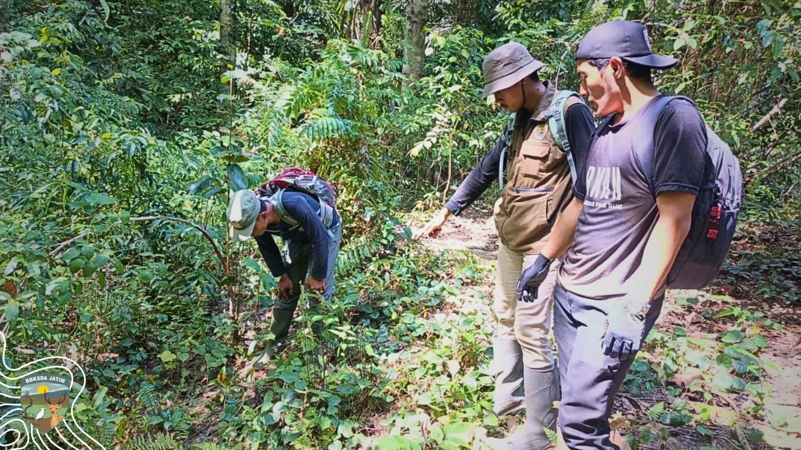 Menjaga Setetes Kehidupan Bagi Rusa Bawean