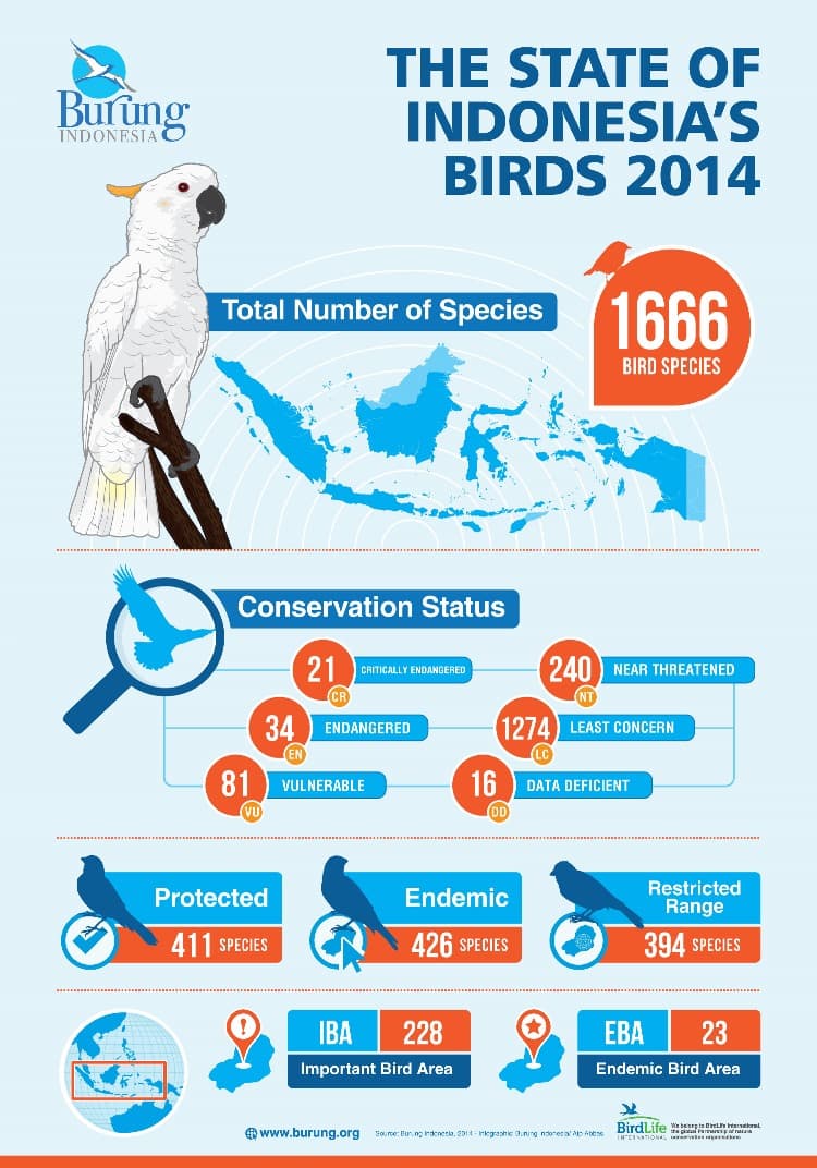 Indonesia Tertinggi dalam Kekayaan Jenis Burung Endemik