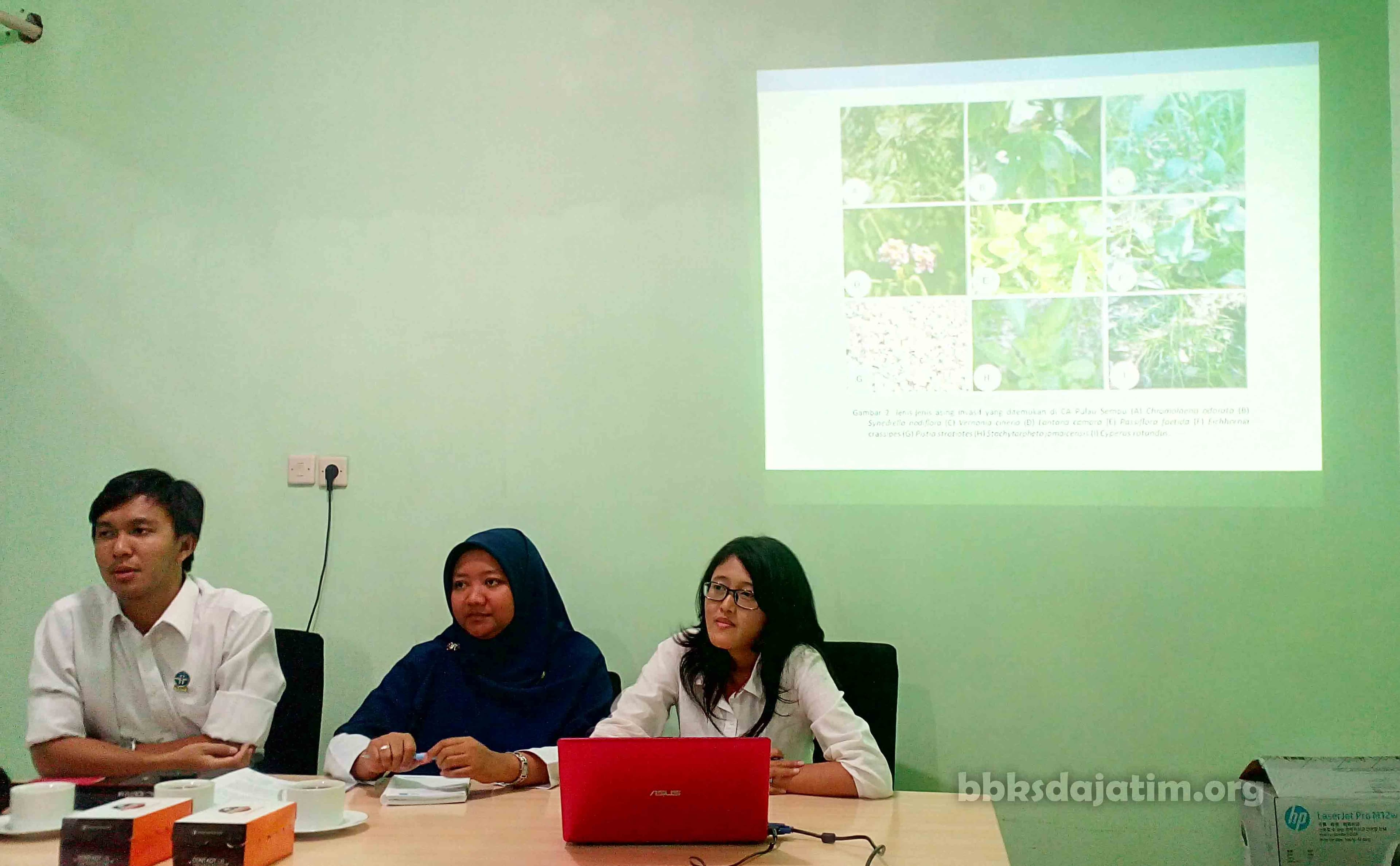Invasive Alien Species Sudah Menyebar di Sempu