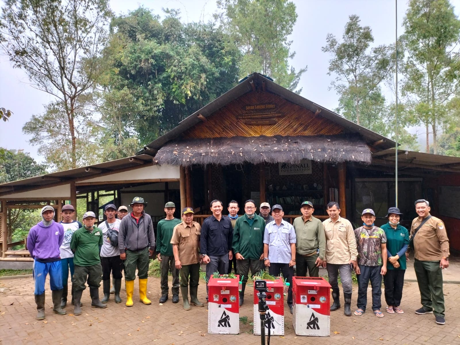 Kembali, 3 Ekor Lutung Jawa Berhasil Dilepasliarkan - Thumbnail 1