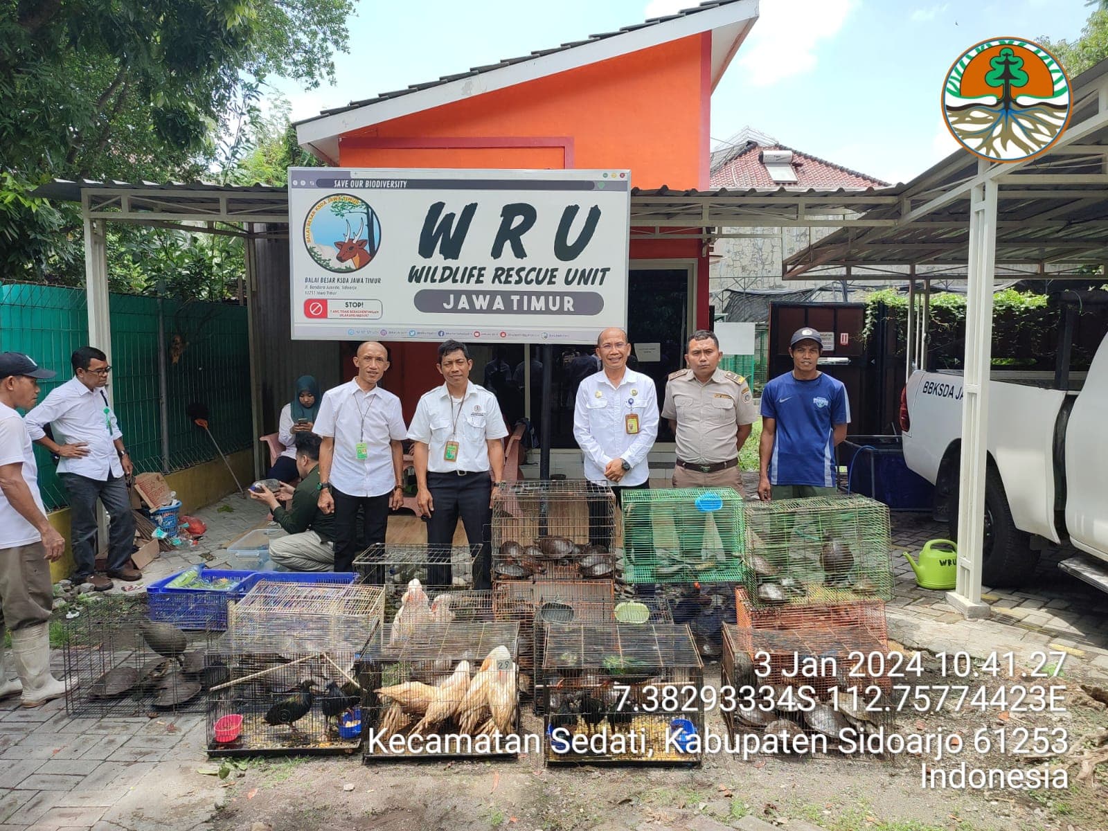 BBKSDA Jatim Segera Rehabilitasi Ratusan Satwa Selundupan