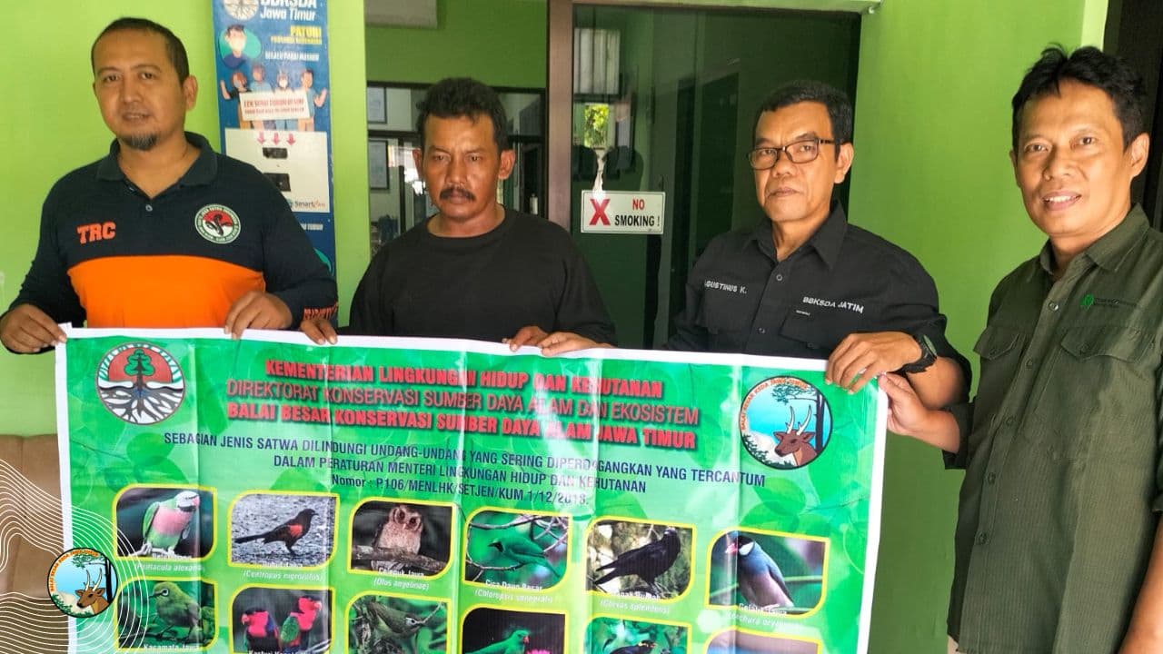 Warga Golan Serahkan Buaya Muara ke BBKSDA Jatim - Thumbnail 1