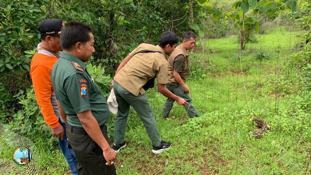 Mengawali Tahun, Melepasliarkan Satwa