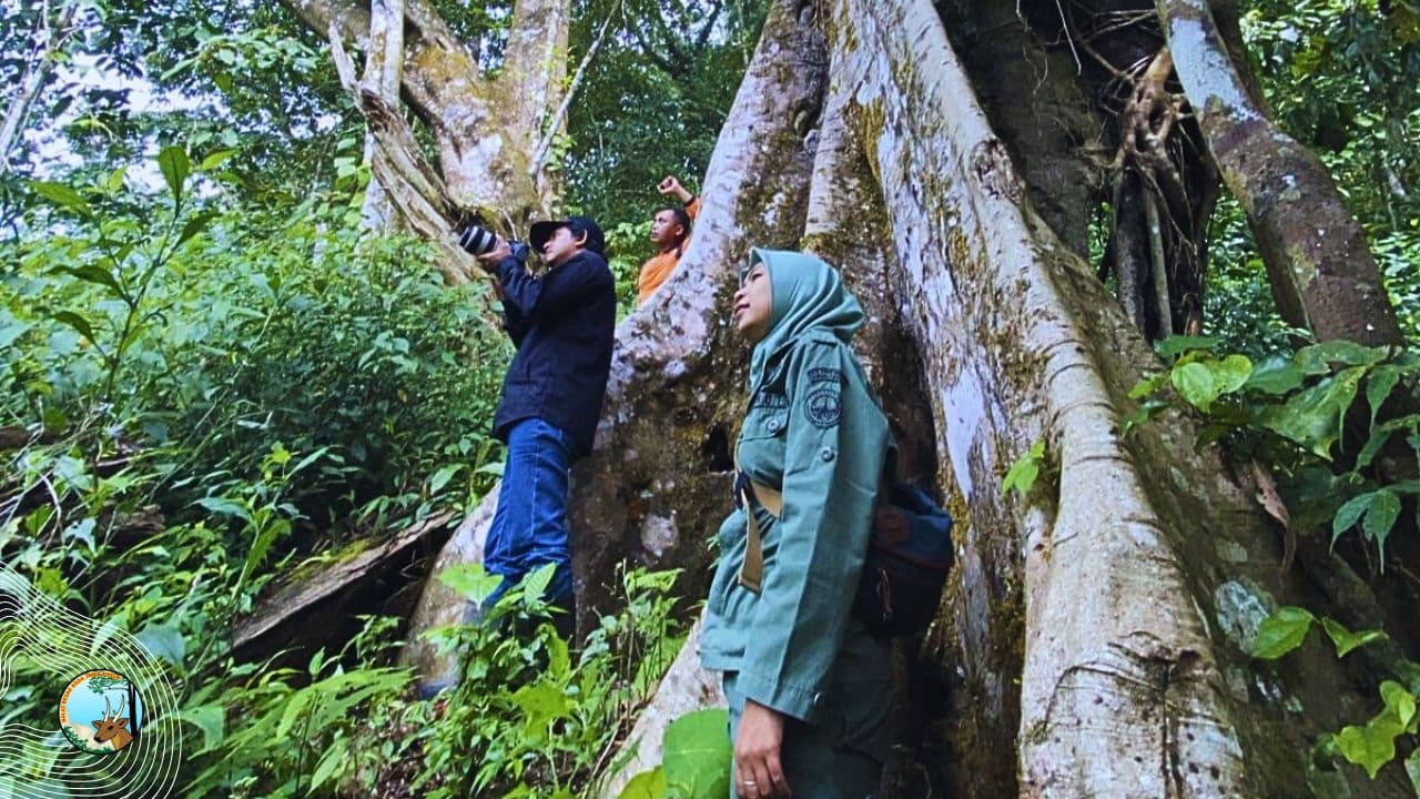 Patroli Keanekaragaman Hayati di Gunung Sigogor dan Gunung Picis: Kawasan Aman, Ekosistem Sehat