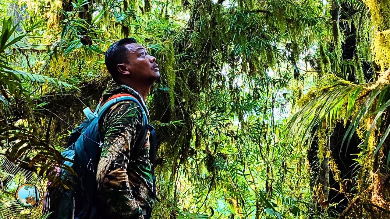 Solidaritas Korsa Rimbawan Untuk Hutan Berkelanjutan: Menjaga Warisan Hijau Nusantara - Thumbnail 1