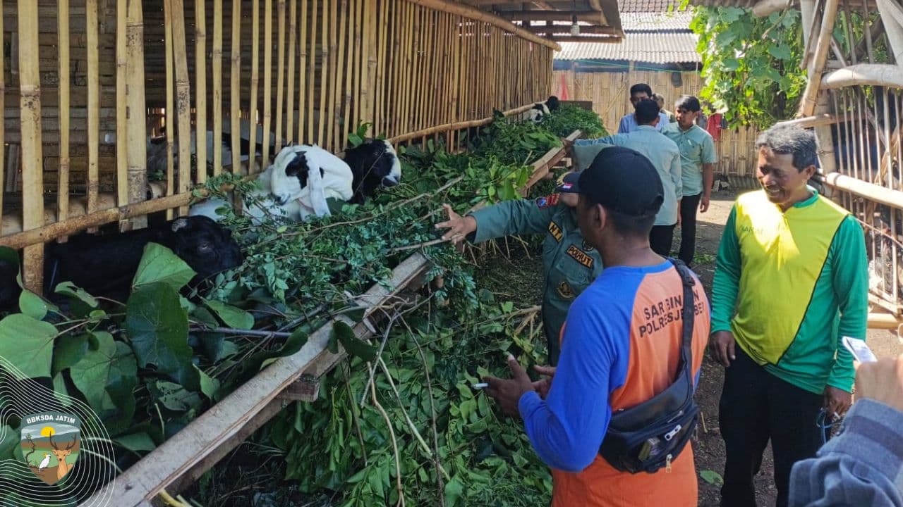 Kisah Rimbawan Muda dan Desa yang Bangkit di Pesisir Selatan Jember