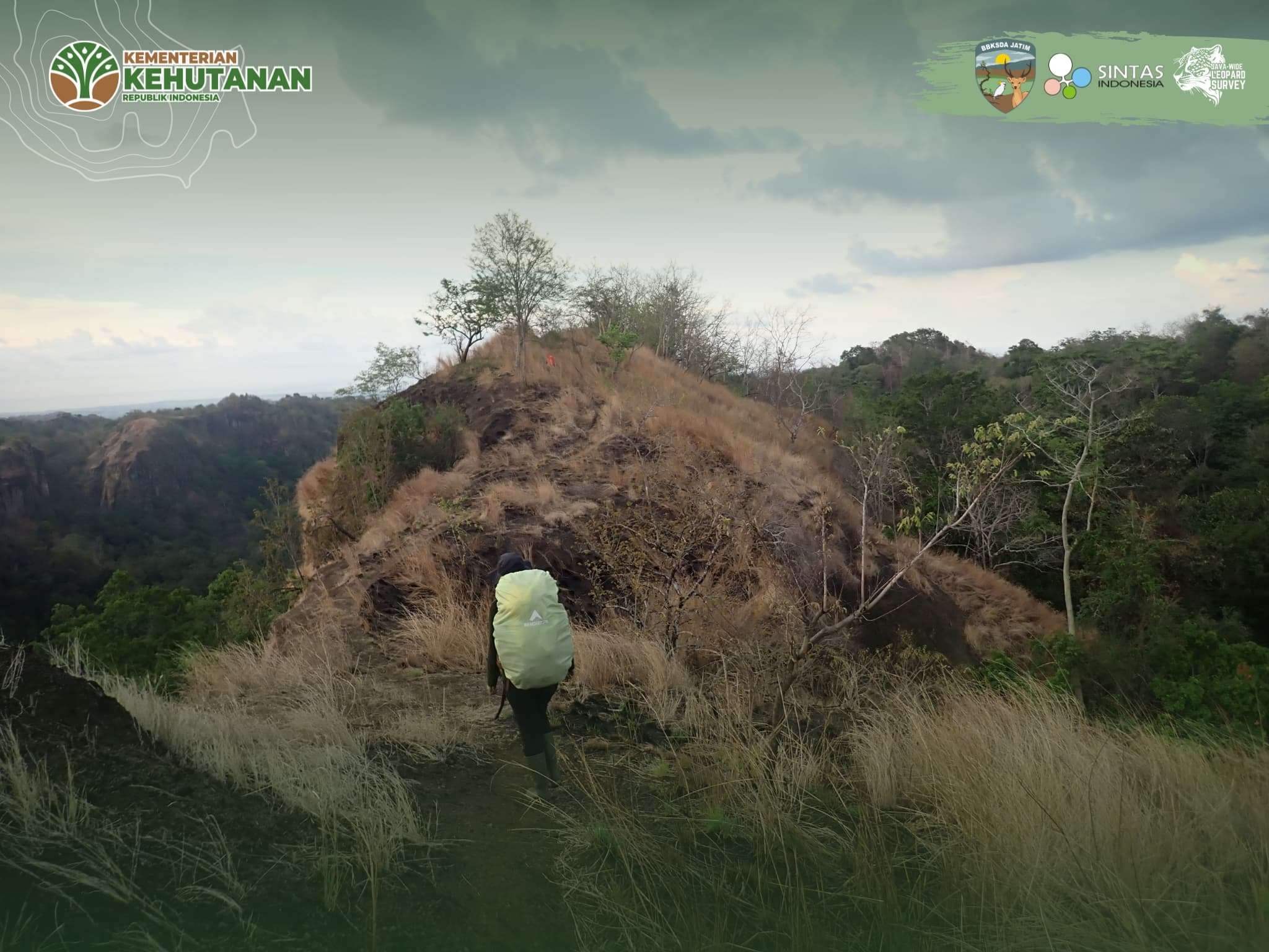 Pencarian Jejak Macan Tutul Jawa Di Ijen-Raung, 3 Kamera Trap Raib!