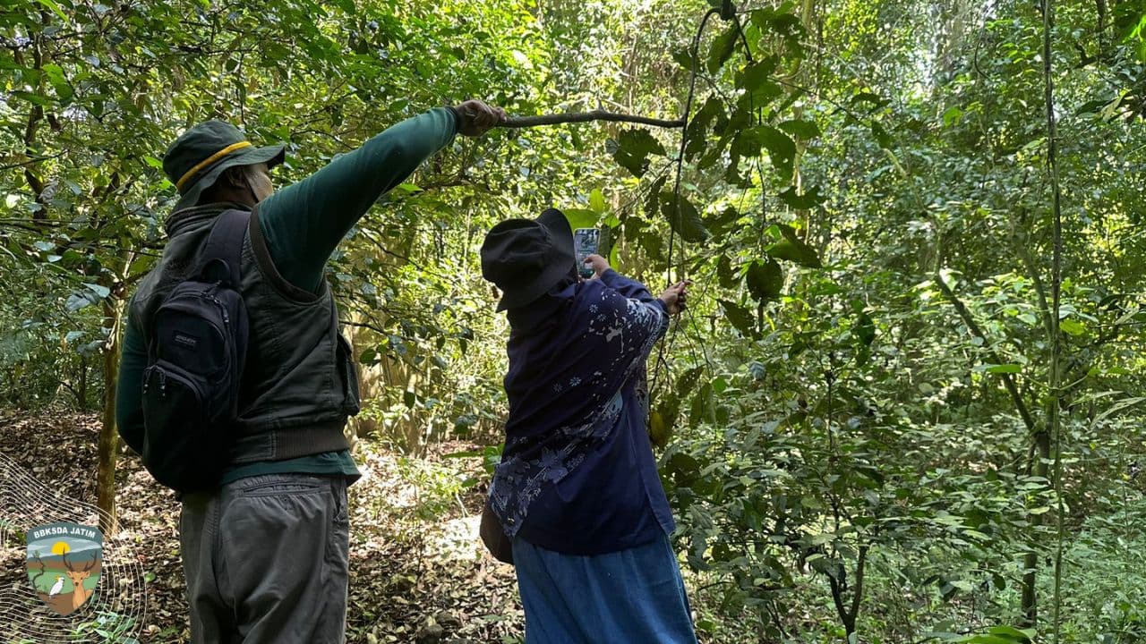 Mengetuk Pintu Desa, Diplomasi Madu Hutan Di Penyangga Manggis Gadungan