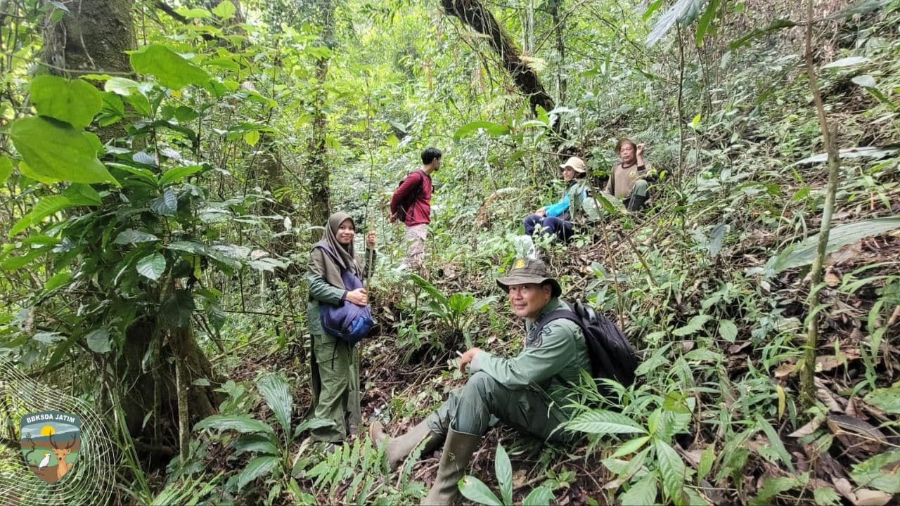 Tak Hanya dari Balik Meja, Ini Aksi Nyata Polisi Kehutanan Menembus Kabut Gunung Picis
