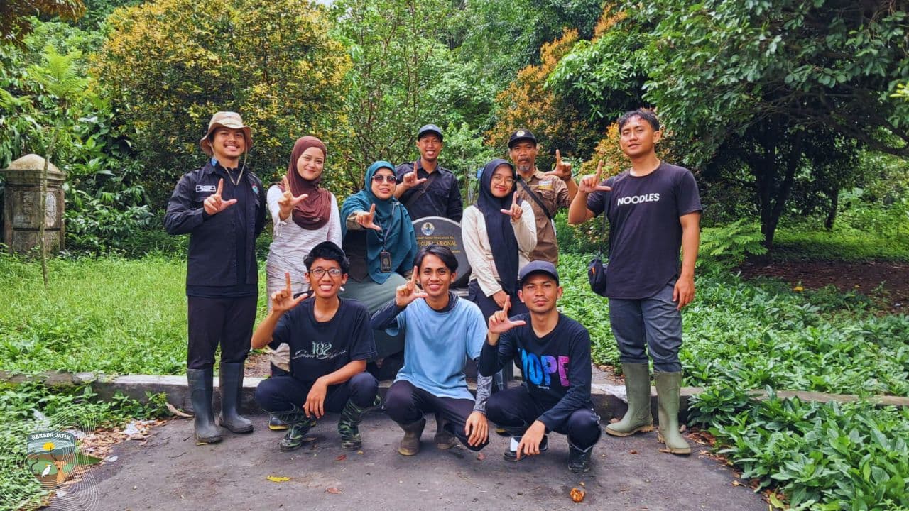 Pasang Jebakan, 8 Mahasiswa UIN Malang Ungkap Kekayaan Manggis Gadungan