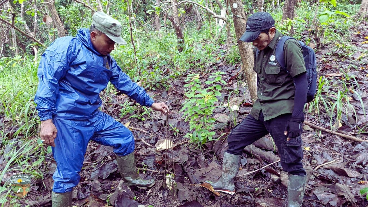 Pal Batas dan Biodiversitas Direkam, Monitoring Satwa Kunci Diperkuat