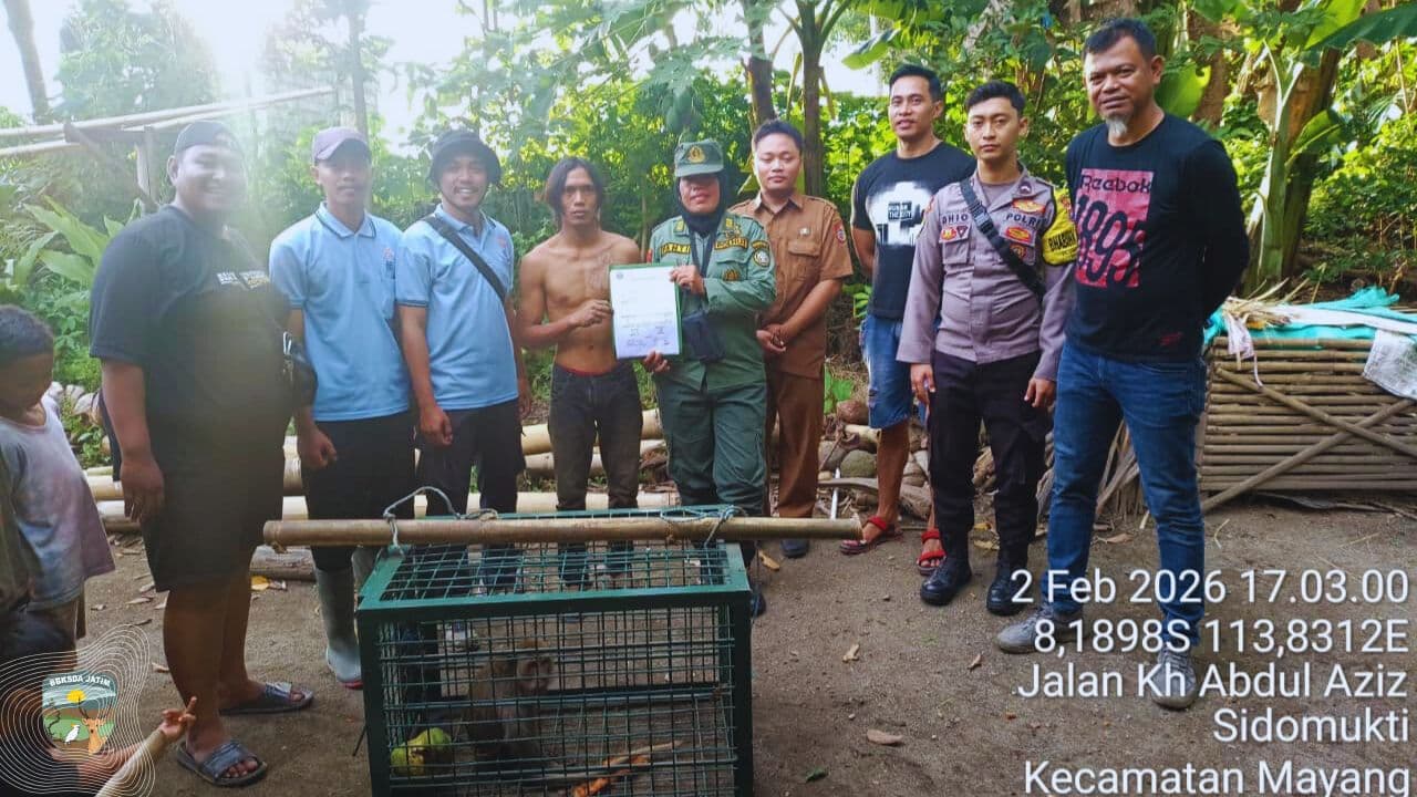 Belajar dari Konflik MEP di Jember, Mengapa Satwa Liar Tak Pernah Tepat Jadi Peliharaan