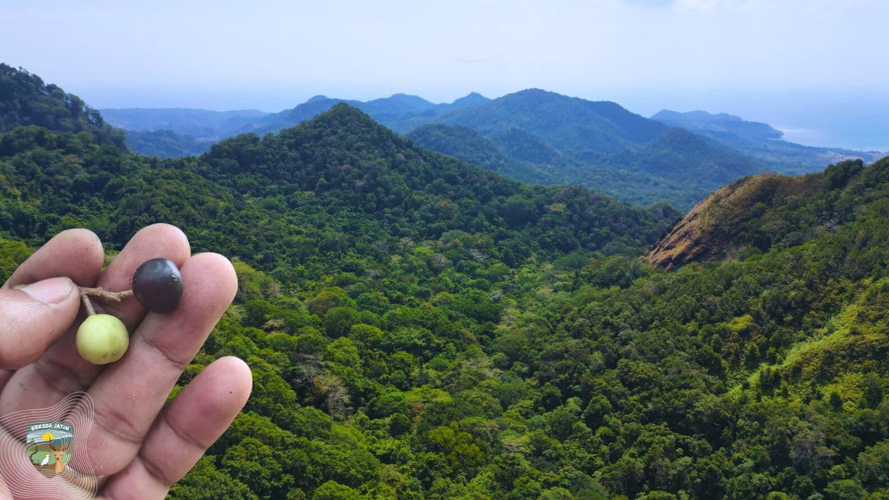 Rimba Bawean, Menghidupkan Makna Hari Satwa Liar Sedunia 2026