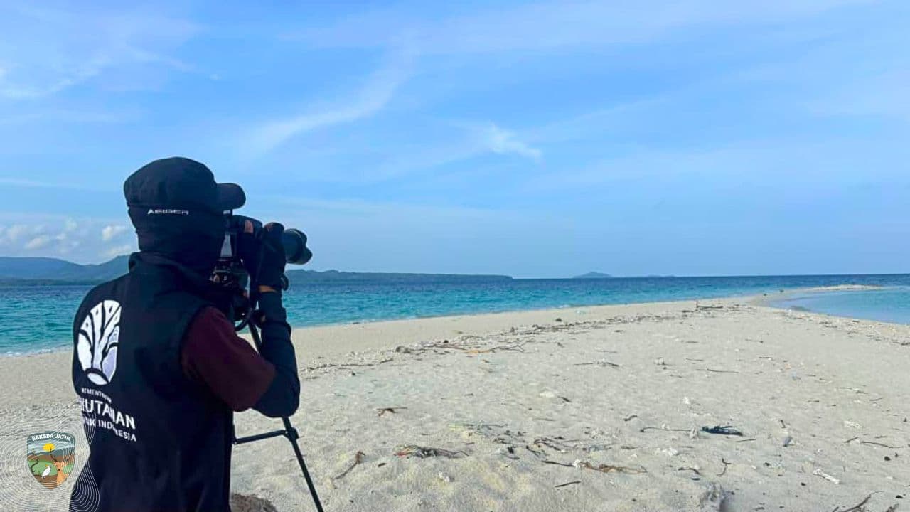 Pulau Kecil, Peran Besar: Cagar Alam Pulau Noko dalam Jalur Migrasi Burung Dunia - Thumbnail 1
