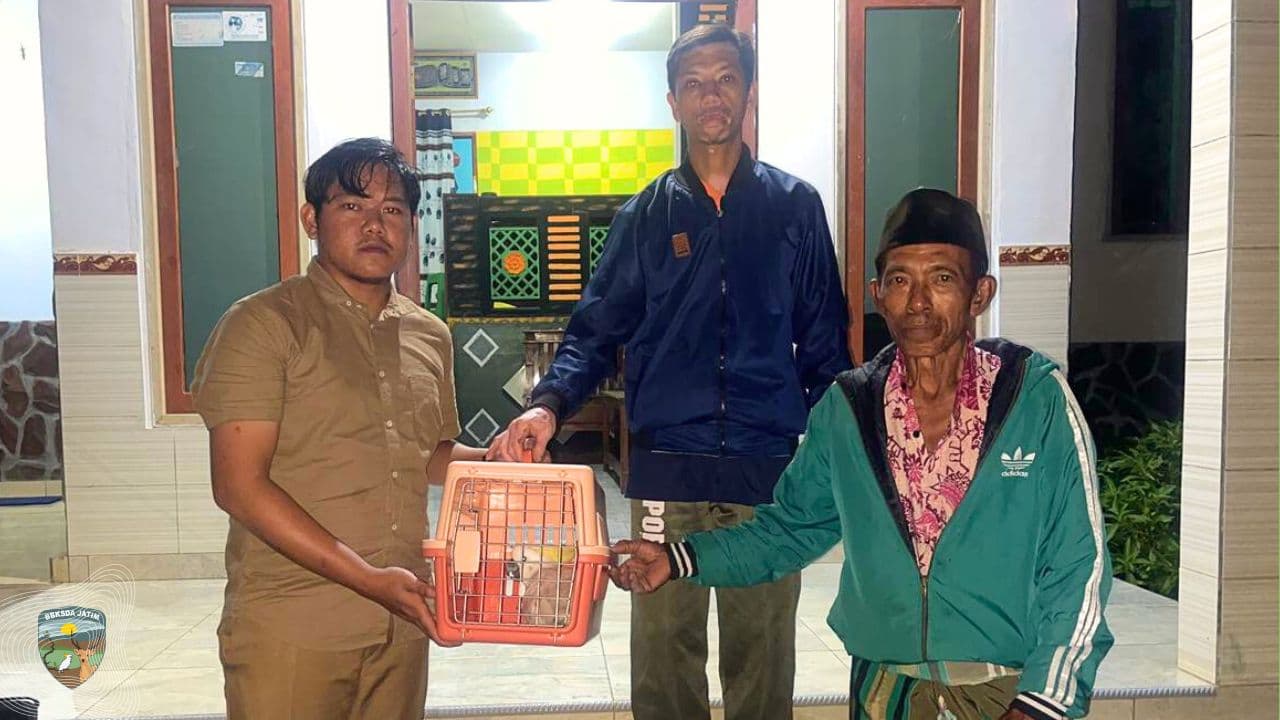 Tiga Hari Terdengar Jeritan Misterius, Tim Matawali Ungkap Faktanya !