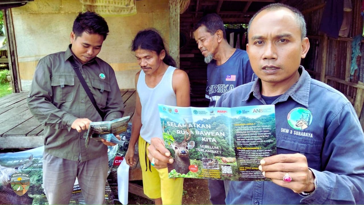 Mengetuk Kesadaran dari Rumah ke Rumah, Ikhtiar Kecil Menjaga Satwa Besar di Bawean