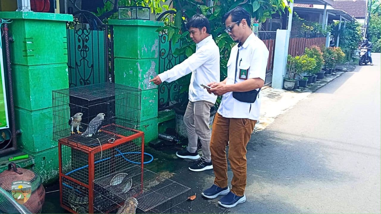 Ujian Naluri Satwa Liar Hasil Penyerahan di Madiun
