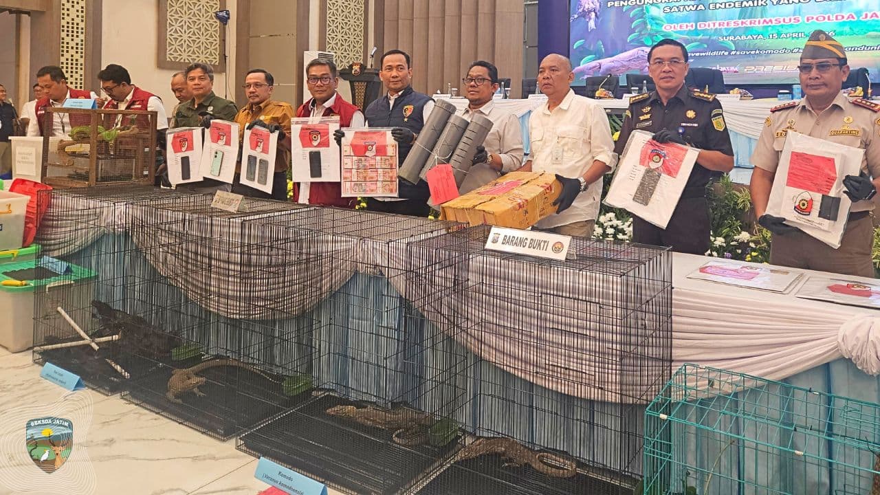 Jejak Perdagangan Satwa Dilindungi Terbongkar, Negara Tegaskan Skema Penyelamatan dan Pelepasliaran