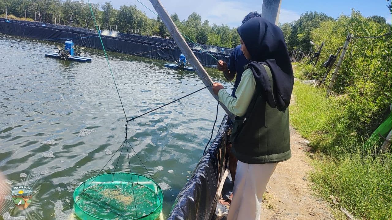 Menggali Suara di Balik Mangrove Bawean: Antara Ketergantungan Warga dan Ancaman yang Mengendap