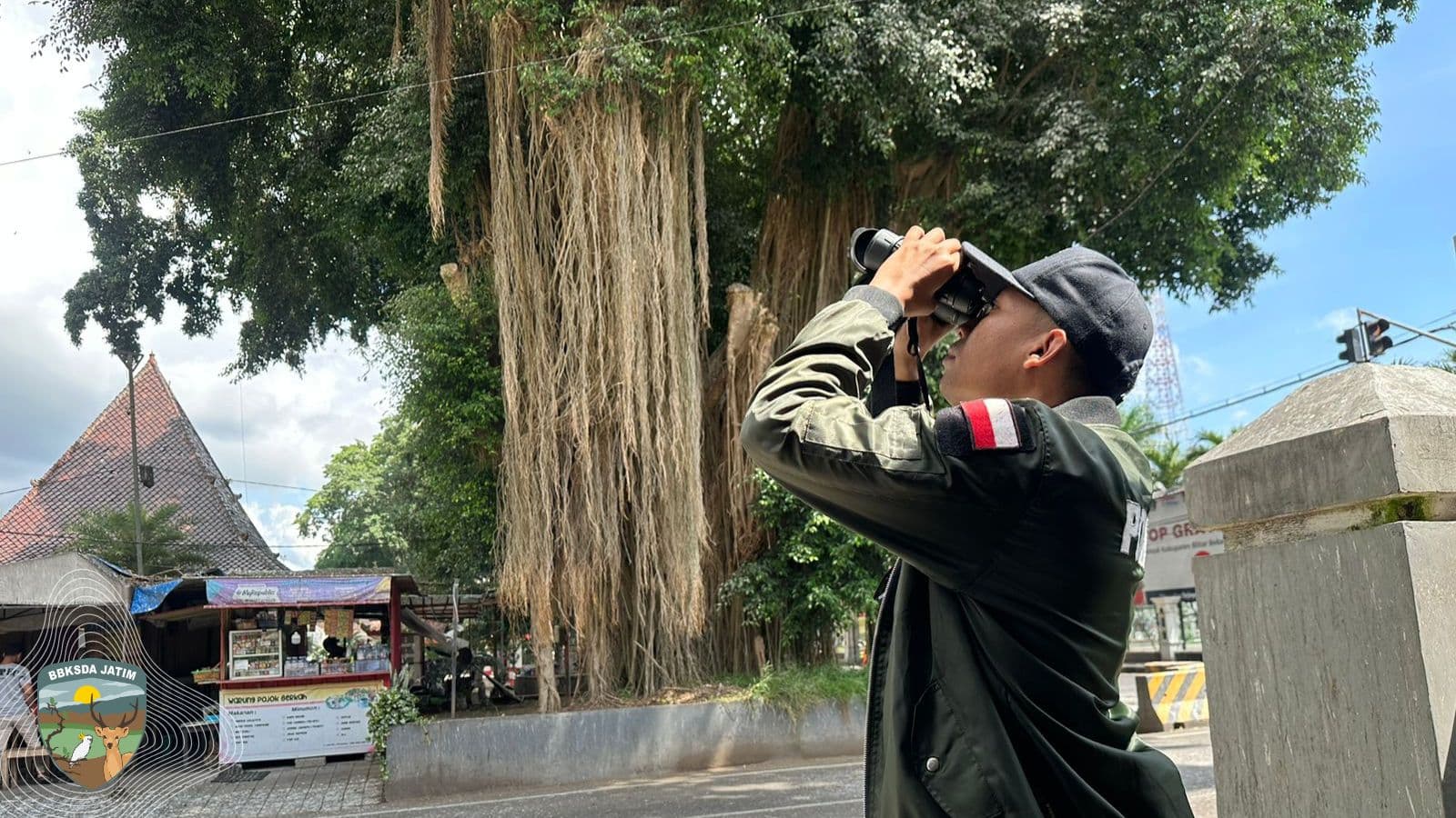 Dari Mana Mereka Berasal? Misteri Burung yang Menghuni Alun-Alun Kota Blitar