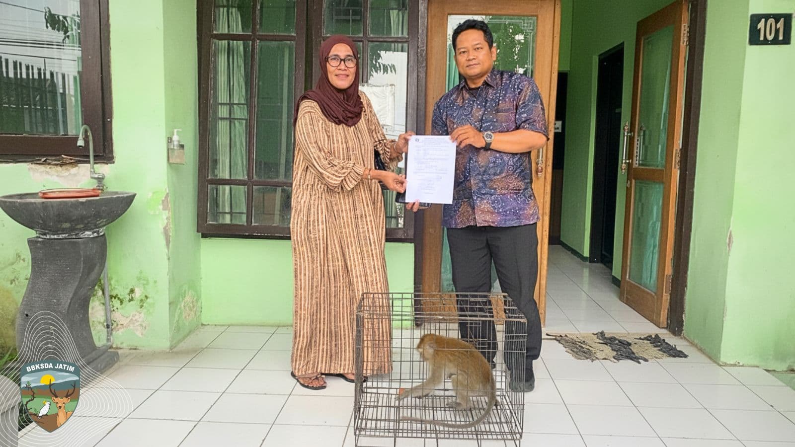 Dipanggil ‘Anak’ Selama 3 Tahun, Satwa Ini Diserahkan ke Tim Matawali