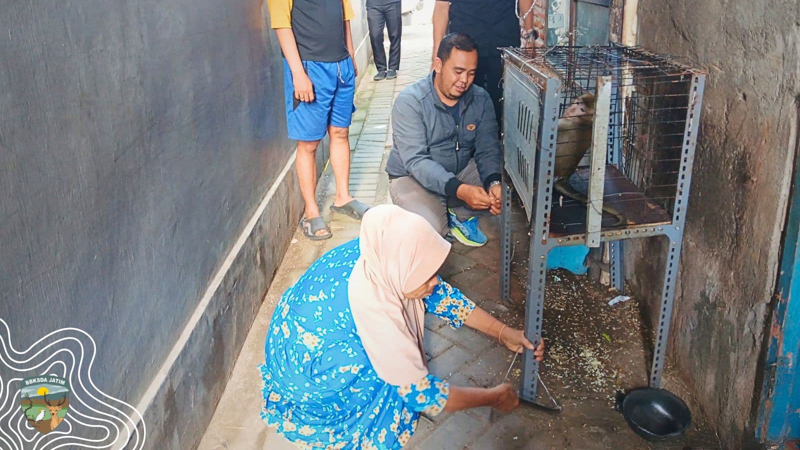 Kehidupan Baru Seekor Primata Liar Yang Lama Terasing