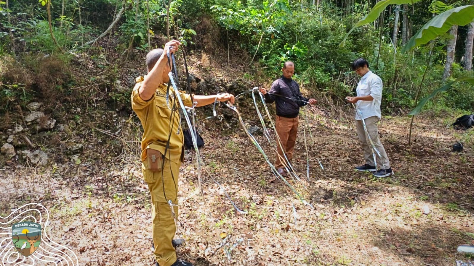 Upaya Warga Dan BBKSDA Jatim Redam Gangguan Monyet Yang Turun Ke Kebun