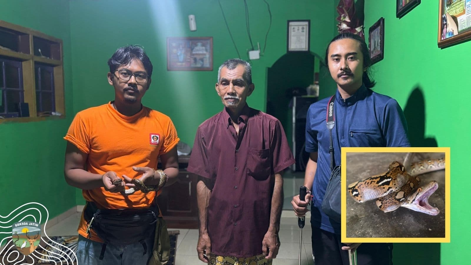 Saat Malam Membawa Sanca Ke Dalam Rumah, Misi Tim Matawali Menyelamatkan Predator Yang Disalahpahami Di Bawean