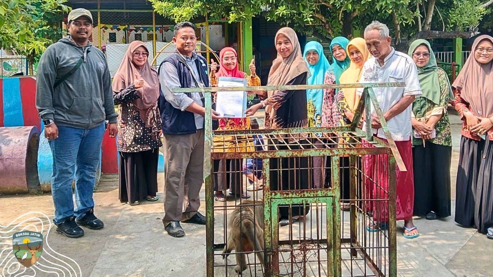 Evakuasi Monyet Ekor Panjang Pada Sebuah TK di Jiwan