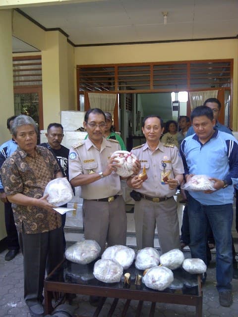 Penyelundupan Trenggiling