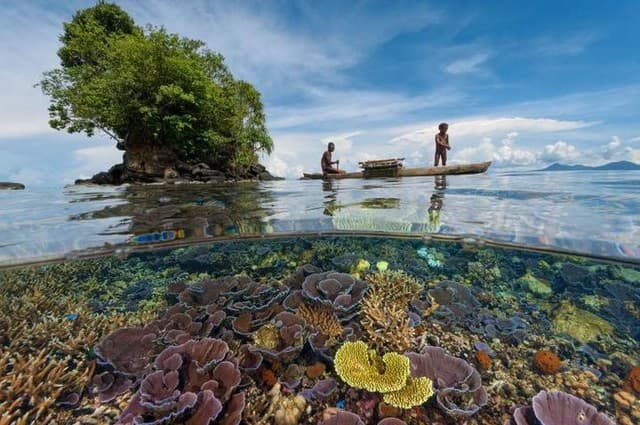 Laut Tidak Sanggup Lagi Menanggung Dampak Pemanasan Global