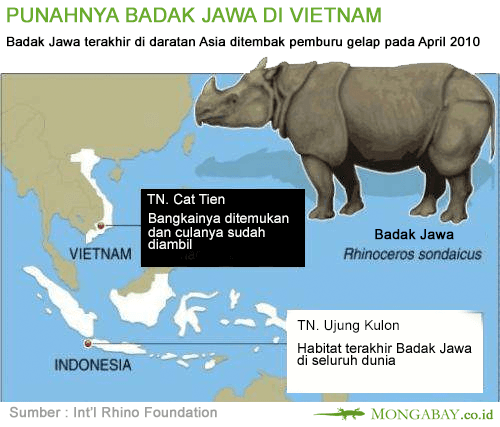 Meski Badak Jawa Telah Punah di Vietnam, Namun Perdagangan Cula di Negeri Ini Tetap Terjadi - Thumbnail 1