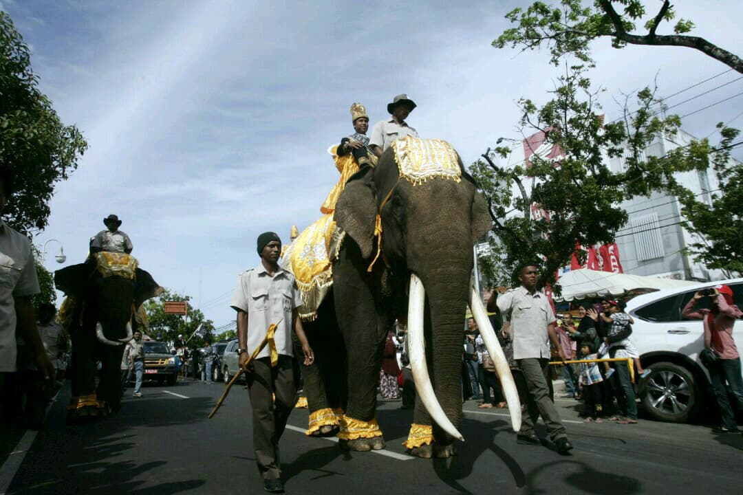 Membunuh Gajah, Menghancurkan Jejak Peradaban Bangsa Indonesia